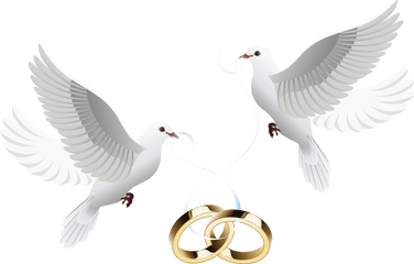 Wedding Dove Png Transparent Background - Transparent Wedding Dove Png