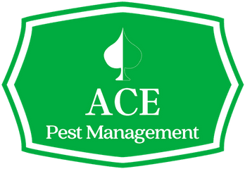 Pest Control Teignbridge Torbay U0026 South Hams Ace - Place Png