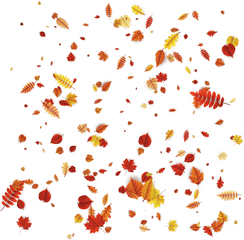Petal Floral Design Orange Pattern - Vector Autumn Leaves Falling Autumn Leaves Hd Png