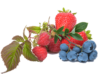 Canvas Print Blueberry Fruit Strawberry Raspberry Stretched - Blueberry And Strawberry Png