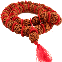 The 5 Mukhi Kantha Is For Different - Bracelet Png