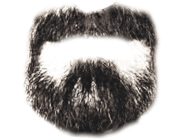 Photoshop Transparent Beard - Free PNG