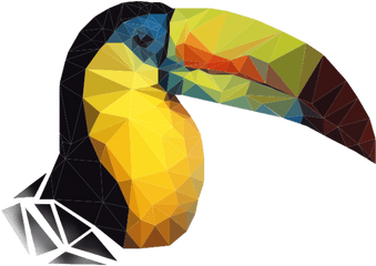 Tucan Png - Toucans