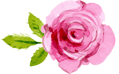 Free Pink Rose Transparent Background Download Clip - Transparent Background Pink Rose Clipart Png