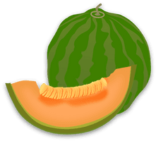 Cantaloupe Green Free Download PNG HQ