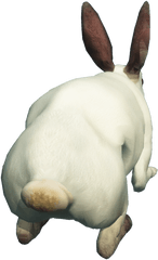 Free Transparant Clipart Rabbit - White Rabbit Back Png