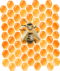 Bee Png Clip Art Image - Honeycomb With Honeybee Clipart