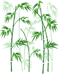 Vector Hand - Transparent Bamboo Vector Png