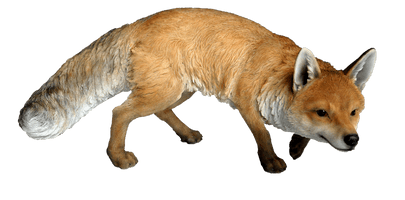 Fox Png 11