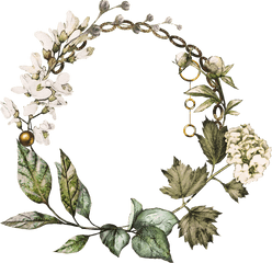 Greenery Vector Foliage Picture 1095691 Watercolor Silver - Watercolour Wreath Clipart Transparent Png