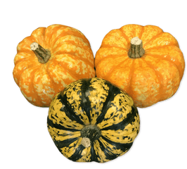 Organic Mixed Squash - Pumpkin Png