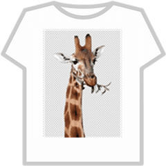 Giraffe - Productive Mr Duck Roblox T Shirt Png