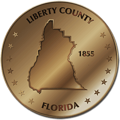 Liberty Fun Style Maps 10 Coinsu2014bronze - Solid Png