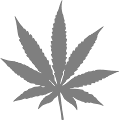 Real Weed Leaf Transparent U0026 Png Clipart Free Download - Ywd Pot Leaf