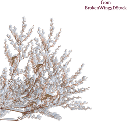 Tree Shrub Winter Branch - Snow Top Png Download 900900 Transparent Background Snow On Tree Png