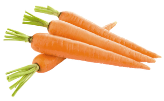Carrot Slices Free Download PNG HQ