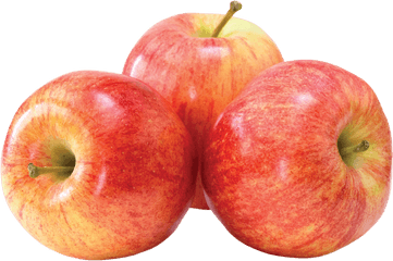 Apple Png Image - Honeycrisp Apples Png Gala Apple Transparent Fuji Apple Png