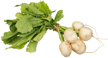 Download Turnips Png Image For Free - Turnips Png