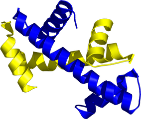 Histone Handshake - Histone Handshake Png