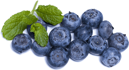 Blueberries - Blueberries Brain Food Png