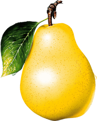 Hq Pear Png Transparent - Pear Clipart Transparent Background