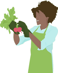 Vegetable Plants Online Propagation Place - Illustration Png