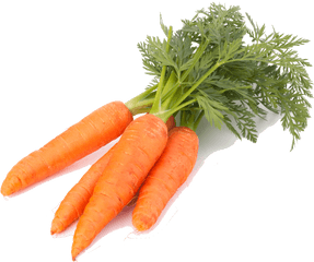 Carrot Png - Carrots