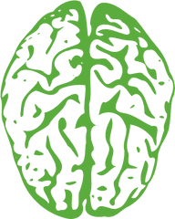 Brain Png - Brain Clipart Transparent Background