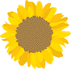 Download Girasol - University Of Costa Rica Png