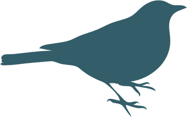 Bird Silhouette Cliparts 11 - Bird Standing Outline Png