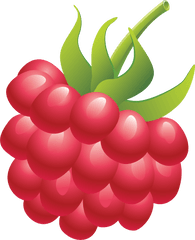 Raspberry Png Image - Raspberry Png Clipart