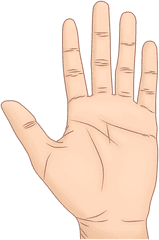 Hand Palma Palm Of The - Free Image On Pixabay Sign Language Png