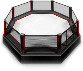 Octagons And Boxing Rings Directly From - Octagon Fight Png