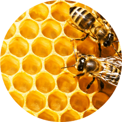 Free Honeycomb Transparent Background Download Clip - Honeycomb Circle Png