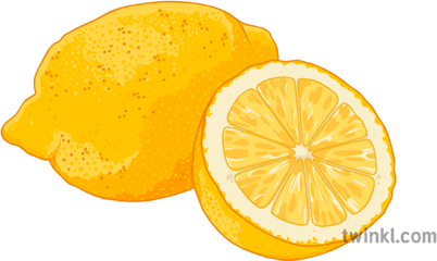 Lemon Illustration - Twinkl Bitter Orange Png