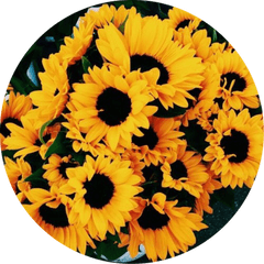 Followme Png Yellow Flower Transparent Background