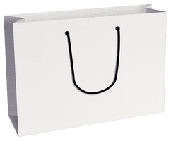 Shopping Bag Png Image