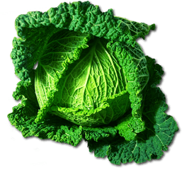 Download Kale Bitkisinin Faydalar - Kohl Png