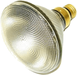 Spotlight Bulbs Outdoor Ned Stevens - Bulb Spotlight Png