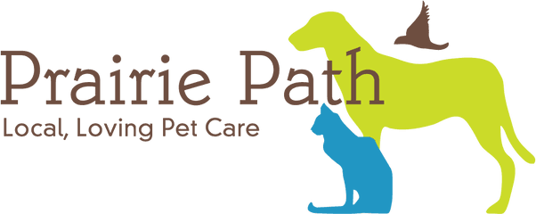 Dog Walking Pet Sitting Grooming And Training Services - Pet Care Png