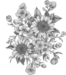 White Flowers Png Clip Free Library - Black And White Sunflower Drawing