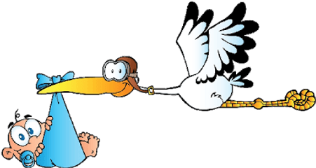 Stork Carrying Baby Boy - Baby Boy Clipart Stork Png