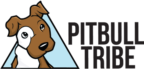 10 Reasons Why Pitbulls Are So Popular - Fitbit Charge 4 Unboxing Png