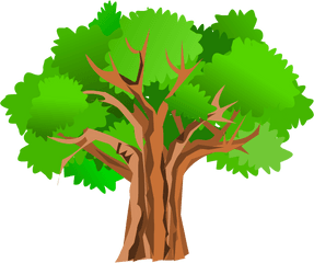 Tree Cliparts Download Free Clip Art - Oak Tree Clipart Png