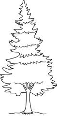 Download Pin Pine Tree Silhouette Clip Art - Pine Tree Clip Pine Tree Tree Coloring Pages Png