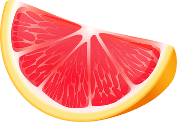 Orange Slice Png Transparent - Citrus Slices Clipart Png