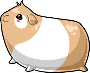 Download Guinea Pig - I Love Guinea Pigs Png Image With No Drawing A Cute Guinea Pig