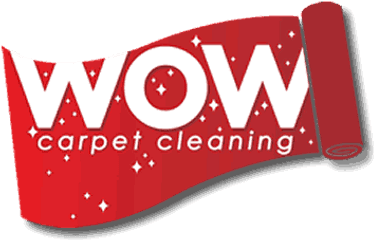 Wow Carpet Cleaning Logo - Wow Carpet Cleaning Graphic Design Png