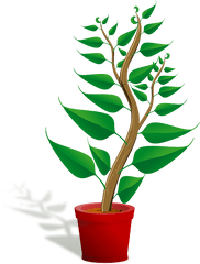 Seedling Potted Plant Sapling - Plant Clipart Png