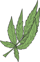 Marijuana Clipart Free Download Transparent Png Creazilla - Illustration